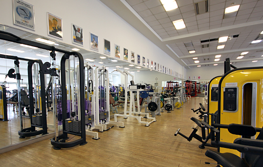 프로그램 이미지