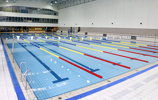 프로그램 이미지